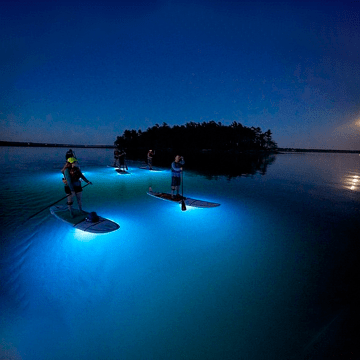 paddleboard san andres islas